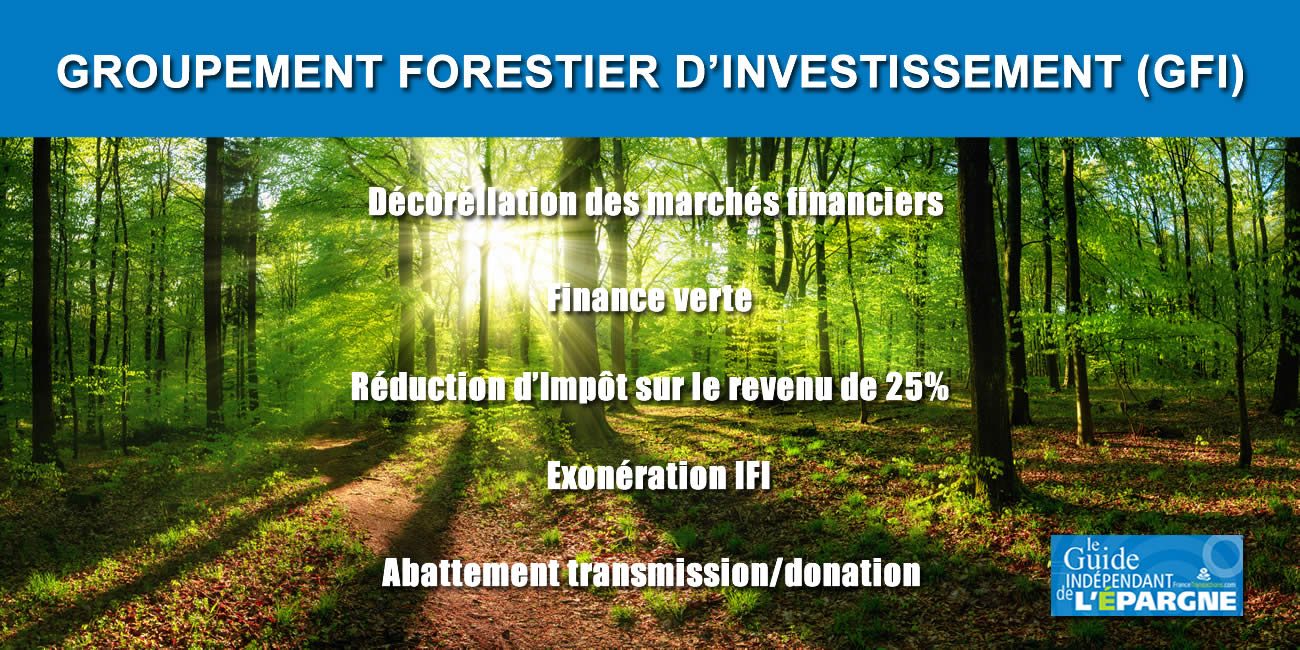 Groupement Forestier D Investissement Gfi R Duction D Imp T De