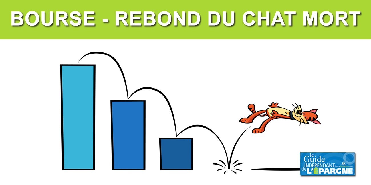 Bourse Fort Rebond Du Cac40 8 39 Comme Une Vague Odeur De Chat Mort Actualites Des Marches