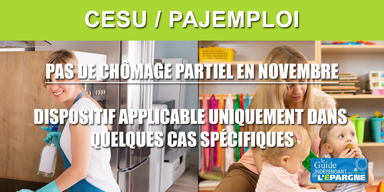 Cesu Pajemploi Pas De Chomage Partiel Par Defaut En Novembre Pour Les Employes A Domicile Actualites Socio Economiques