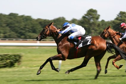 1,1 million d’euros pour un cheval prometteur