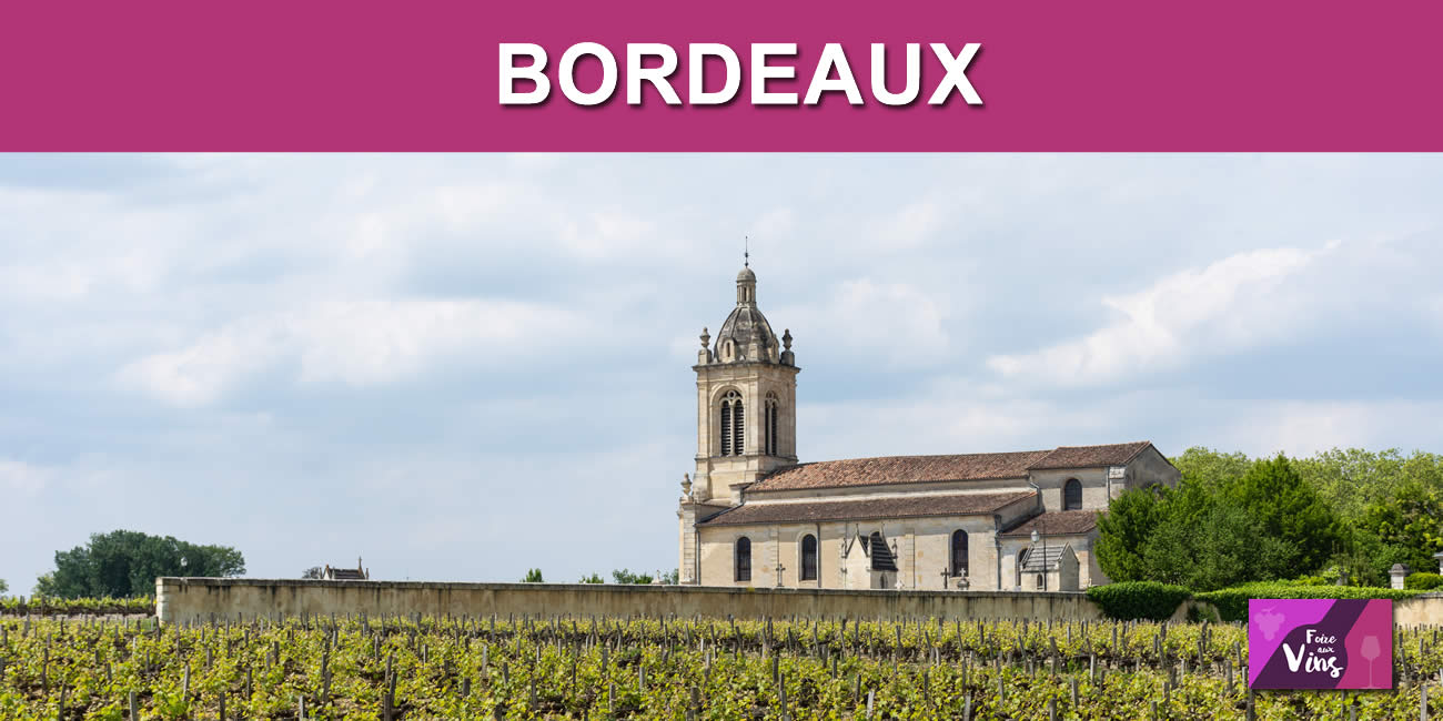 Primeurs Bordeaux 2023 : avis des experts, prix en chute de 35% en moyenne par rapport à 2022 Primeurs Bordeaux 2023 : avis des experts, prix en chute de 35% en moyenne par rapport à 2022