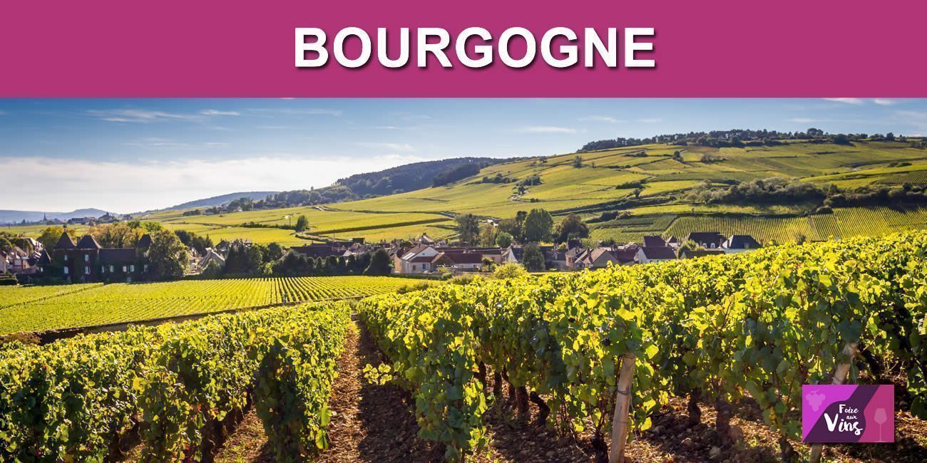 Les vendanges 2021 en Bourgogne débuteront tardivement, autour du 23 septembre