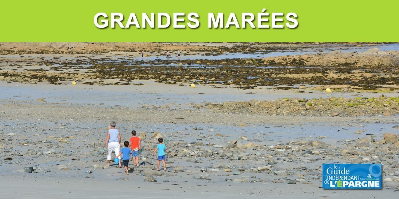 Grandes marées : la pêche à pied marche toujours, mais attention aux risques Grandes marées : la pêche à pied marche toujours, mais attention aux risques