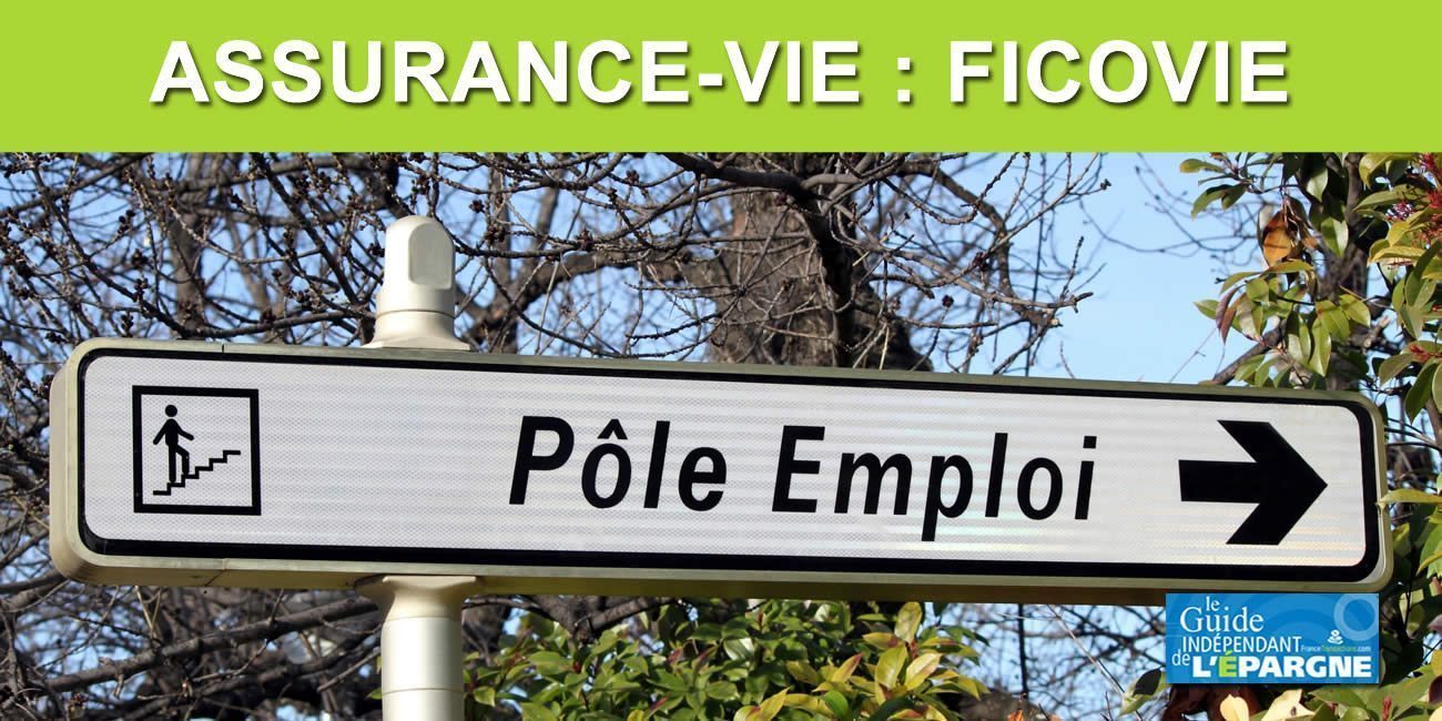 Assurance-vie : lutte contre la fraude aux allocations de solidarité, Pôle Emploi peut désormais vérifier vos encours en assurance-vie Assurance-vie : lutte contre la fraude aux allocations de solidarité, Pôle Emploi peut désormais vérifier vos encours en assurance-vie