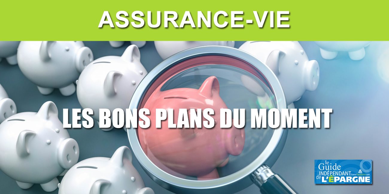 Assurance vie : jusqu'à 800 € offerts, à saisir avant le 31 décembre 2025 Assurance vie : jusqu'à 800 € offerts, à saisir avant le 31 décembre 2025