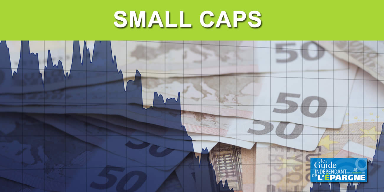 Top 5 des Small Cap visées par des fonds spéculatifs Top 5 des Small Cap visées par des fonds spéculatifs
