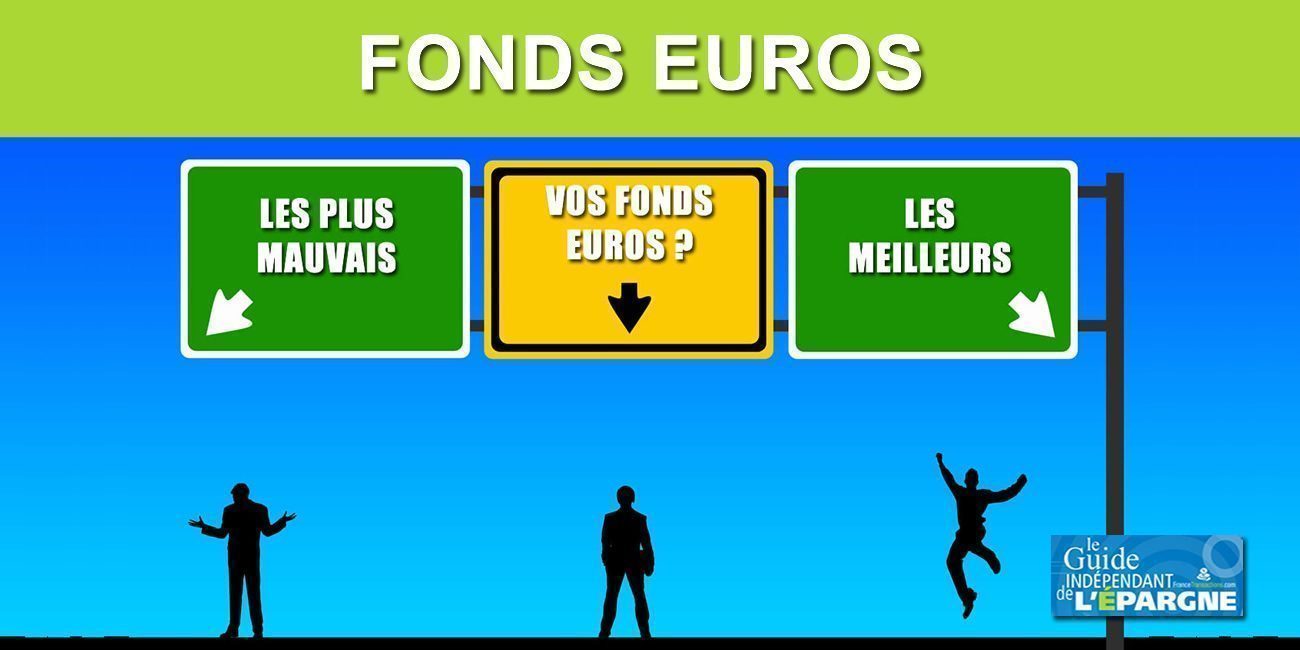 Assurance-vie : les meilleurs et les pires fonds euros 2022, Top et Flop des rendements des fonds euros 2021 Assurance-vie : les meilleurs et les pires fonds euros 2022, Top et Flop des rendements des fonds euros 2021