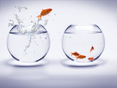 Assurance-Vie/Fonds euros : le siphonnage des plus-values latentes par les fonds eurocroissance va perdurer 3 années de plus Assurance-Vie/Fonds euros : le siphonnage des plus-values latentes par les fonds eurocroissance va perdurer 3 années de plus