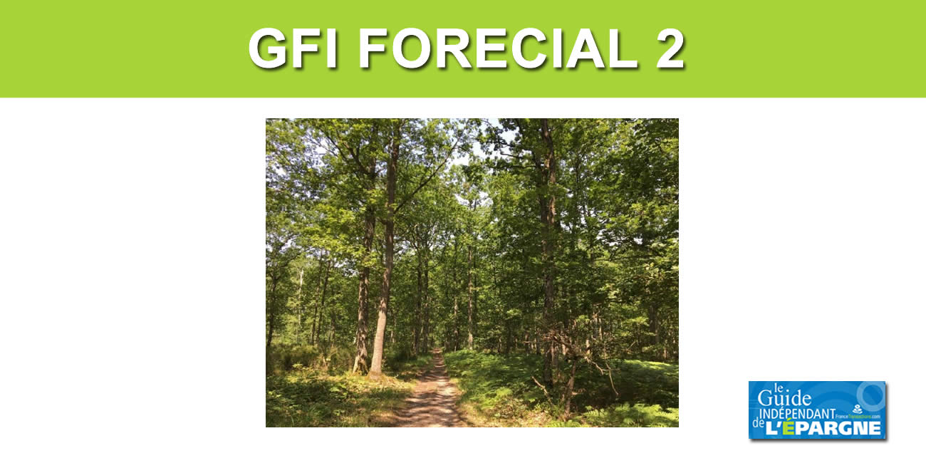 GFI FORECIAL 2 : acquisition d'une forêt de 45 hectares dans le Loiret GFI FORECIAL 2 : acquisition d'une forêt de 45 hectares dans le Loiret