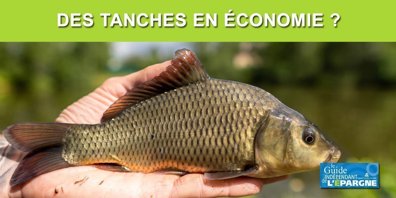 CAC40, nouvelle hausse de +1.44% sur la semaine, pas que du luxe, même si les Français sont des tanches en économie CAC40, nouvelle hausse de +1.44% sur la semaine, pas que du luxe, même si les Français sont des tanches en économie