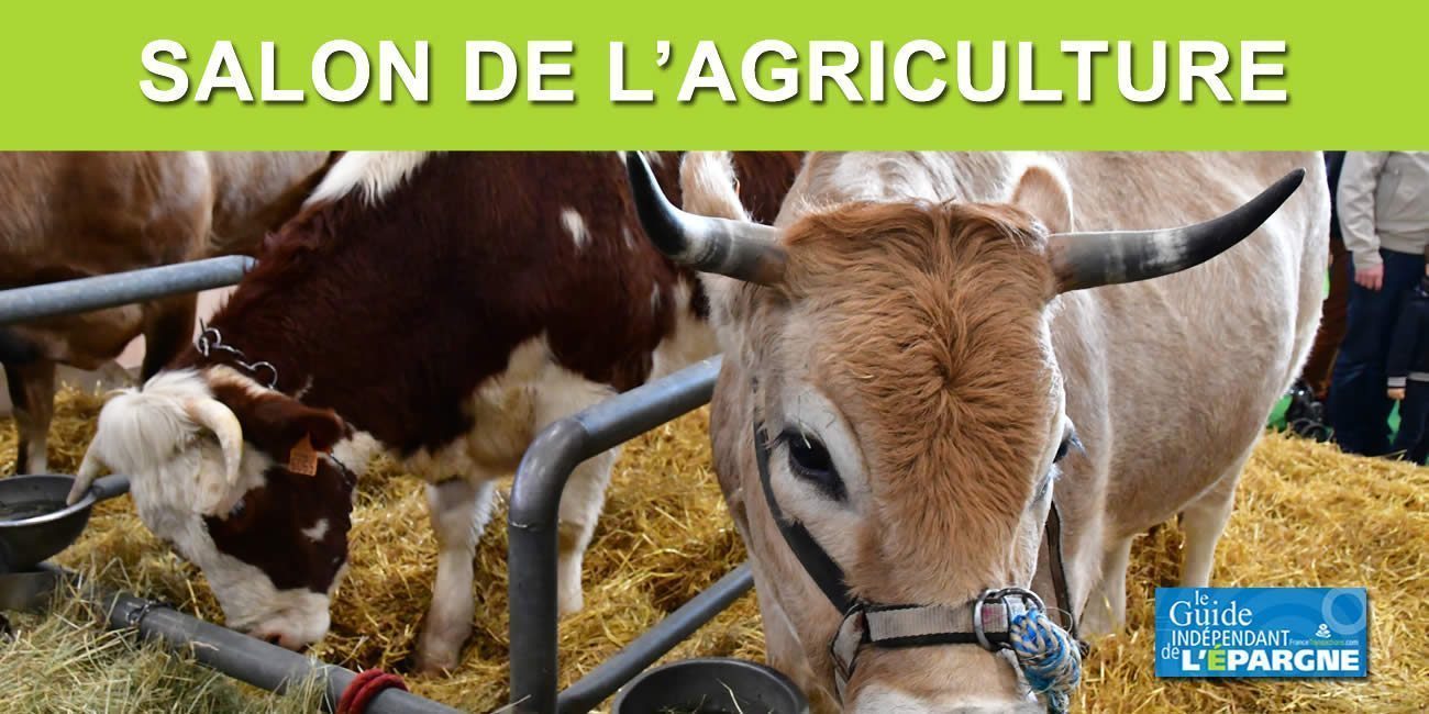 SIA 2022 (Salon de l'Agriculture) : Des agriculteurs engagés, motivations et défis, pour une agriculture plus responsable et respectueuse de l'environnement SIA 2022 (Salon de l'Agriculture) : Des agriculteurs engagés, motivations et défis, pour une agriculture plus responsable et respectueuse de l'environnement