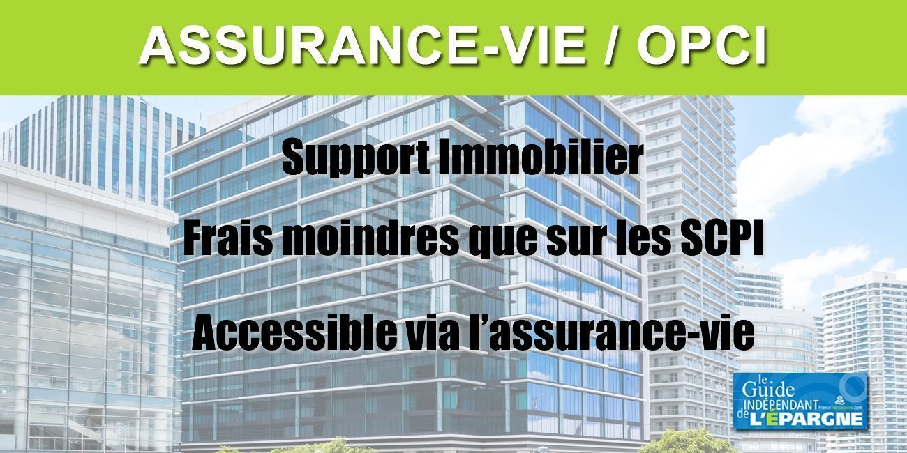 Assurance-Vie : investir sur des OPCI, quels contrats choisir en 2026 ? Assurance-Vie : investir sur des OPCI, quels contrats choisir en 2026 ?