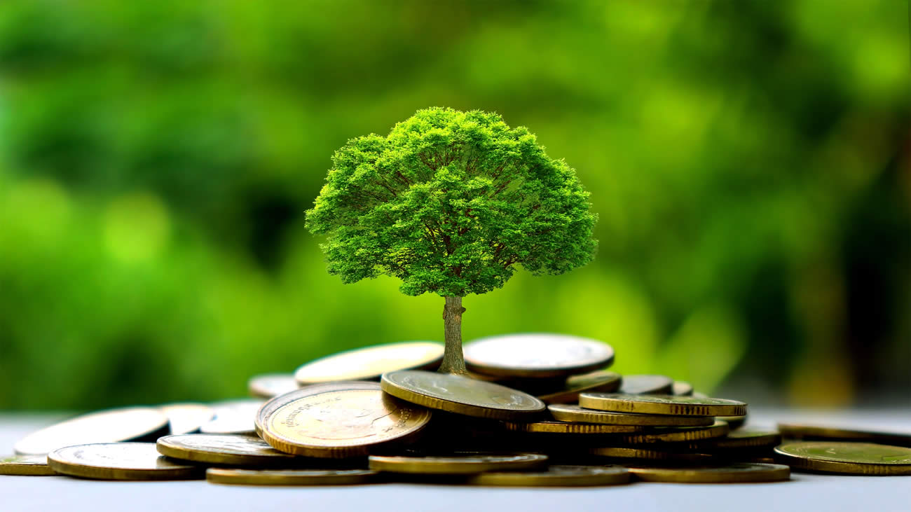 Ramify Green : le placement vert pour décarboner efficacement son épargne