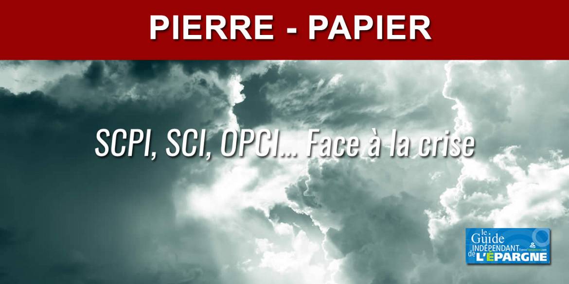 Alerte SCPI ⚠️ : Baisse De Prix Des Parts De La SCPI PRIMOVIE Et Une ...