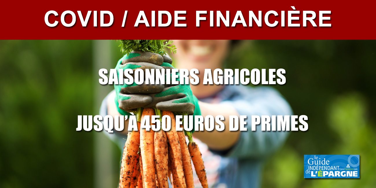Aide financière pour les saisonniers agricoles : jusqu'à 450 euros de primes versées à compter du 1er juillet