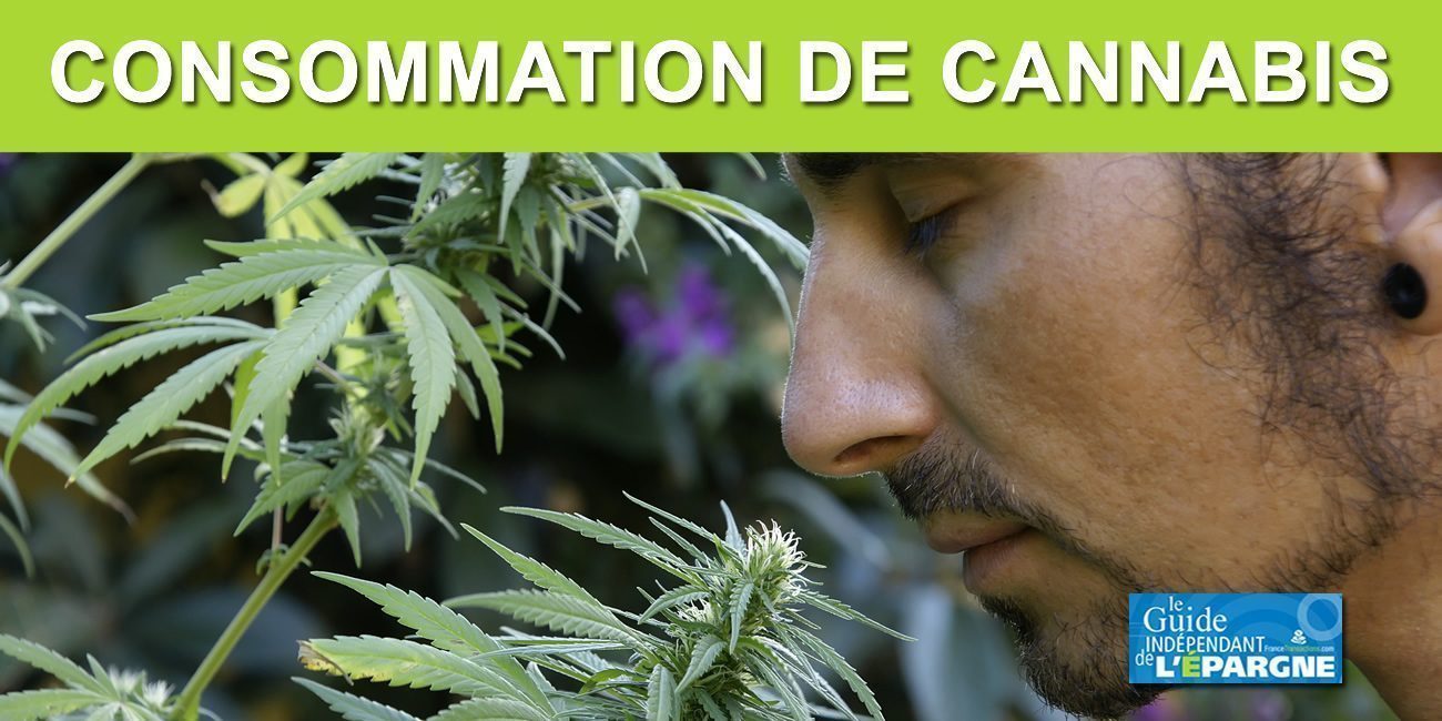 200 euros d'amende pour consommation de cannabis à partir du 1er septembre 2020