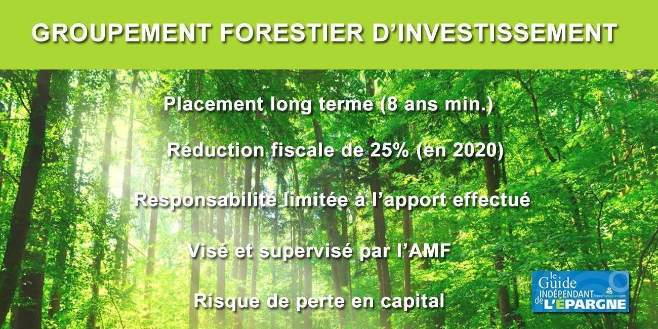 Investissement forestier : nouvelle acquisition d'une forêt dans le Cantal pour France Valley