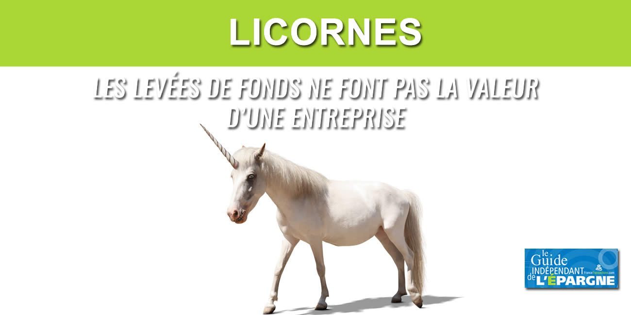 Objectif de 100 licornes en France en 2030 ? La valorisation des entreprises sur leurs levées de fonds n'a que peu de sens, un miroir aux alouettes !