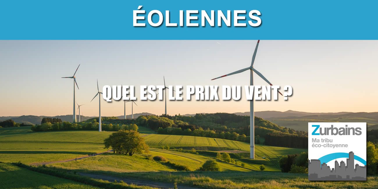 Le prix du vent : une enquête sur les installations de parcs éoliens dans des milieux ruraux