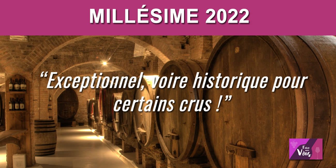 Vin : 2022 sera un millésime exceptionnel ! Comparable au millésime de 1947 !