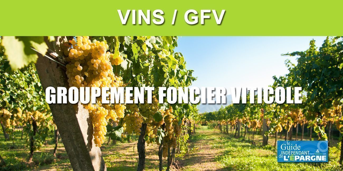 GFV (Groupement Foncier Viticole)