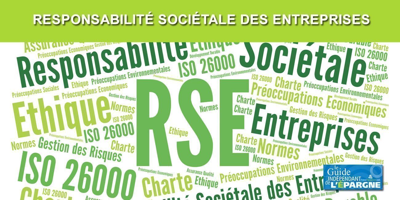 Responsabilité Sociétale des Entreprises (RSE)