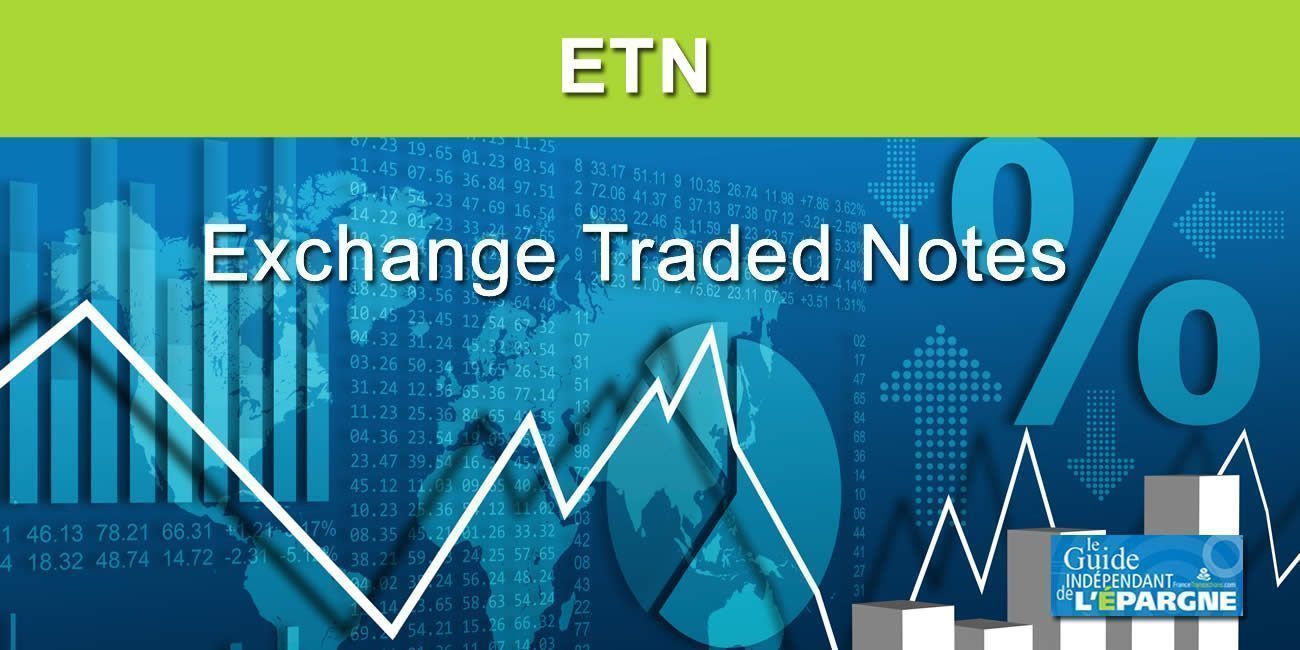 ETN (Exchange Traded Notes)