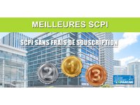 Scpi En Demembrement Scpi