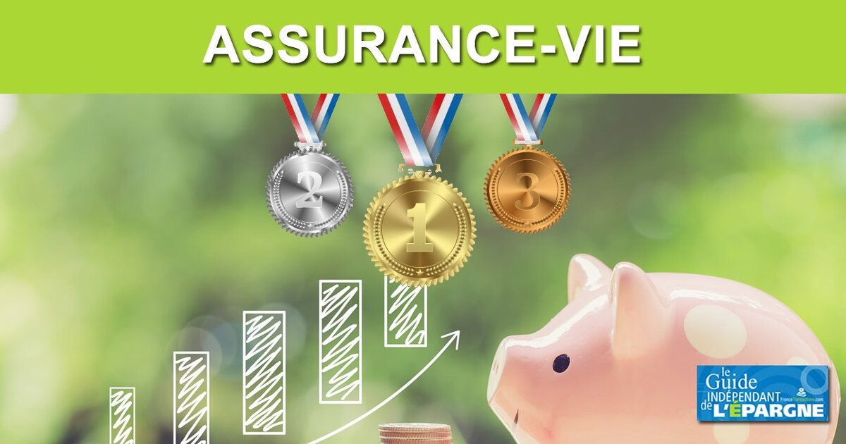 Quel Est Le Meilleur Contrat D'assurance-vie ? - FranceTransactions.com