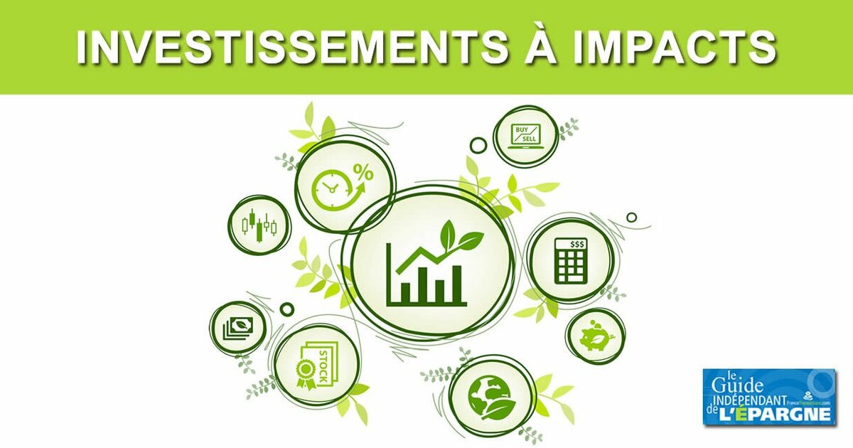 Investissement durable en 2024, nouveaux horizons financiers - Meilleurtaux  Placement