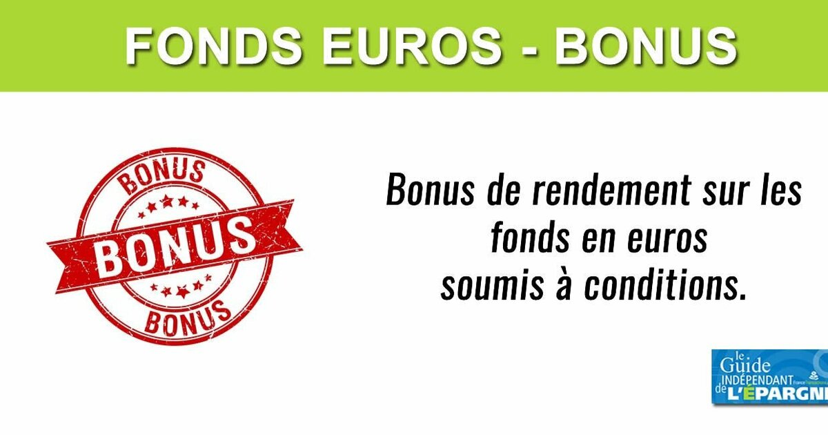 Bonus assurancevie 2024, ou comment booster le rendement de son fonds