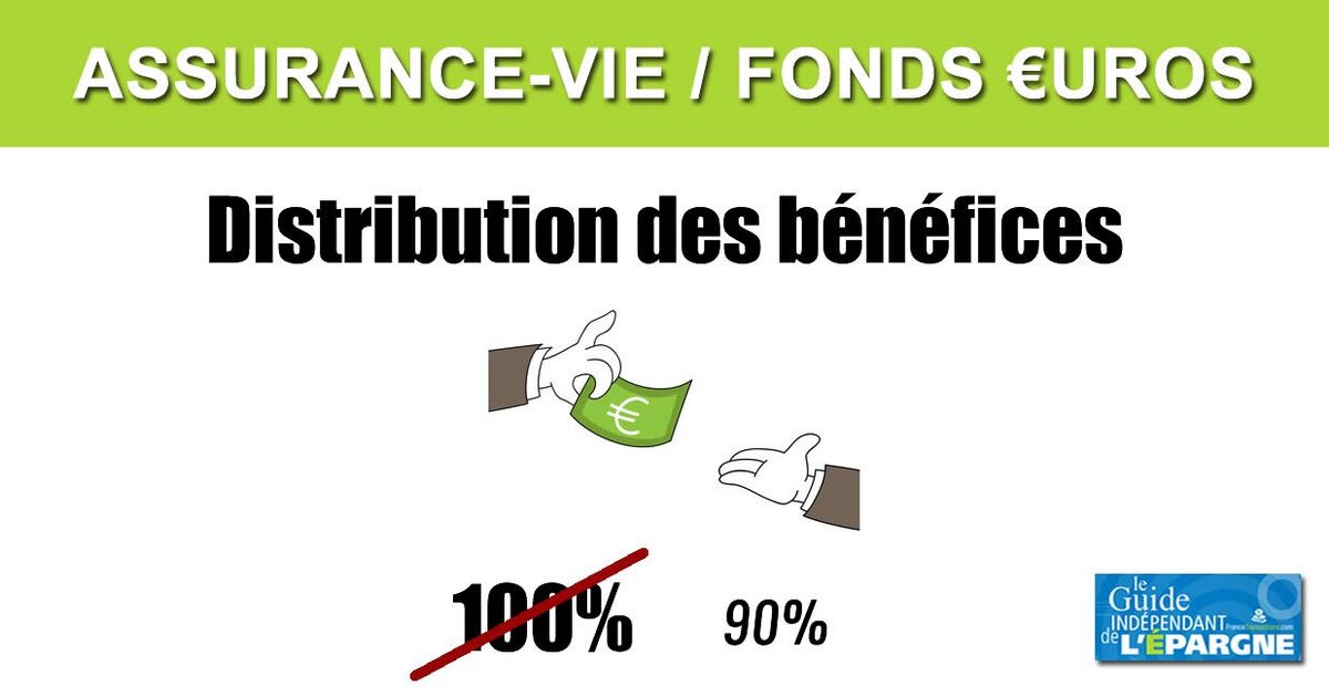 Assurance-vie, Scandale Des Fonds En Euros : Le Montant Total Des ...