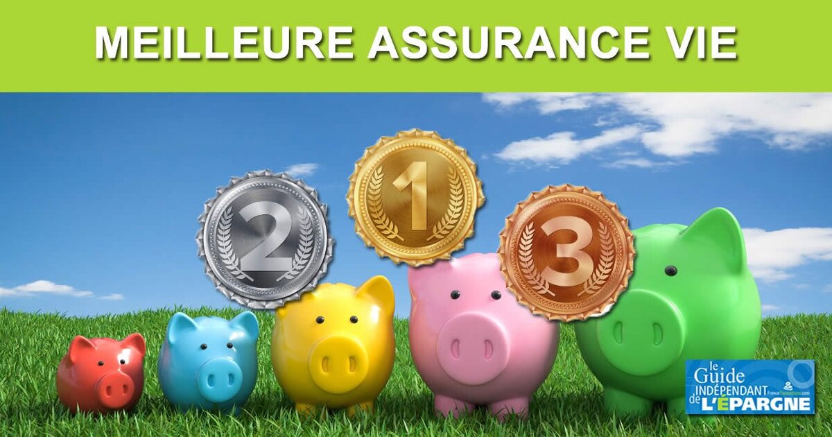 Assurance Vie 2021 : Meilleurs Fonds Euros Sans Condition De Versements ...