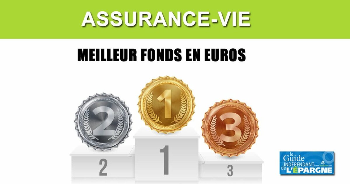 Fonds Euros : Classement Des Performances Sur Trois Ans ...