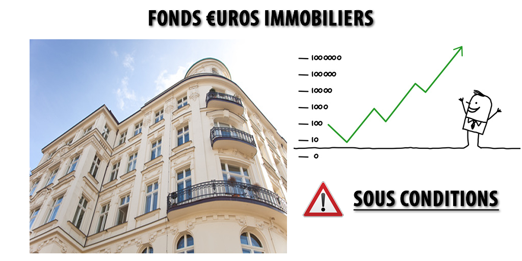 Fonds euros : misez sur les supports en euros immobilier ! Fonds euros : misez sur les supports en euros immobilier !